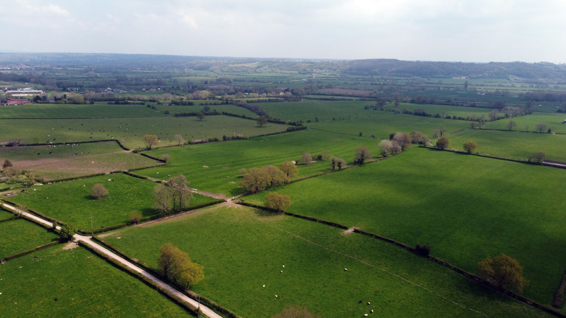 Green farmland with hedges and copses seen from the air