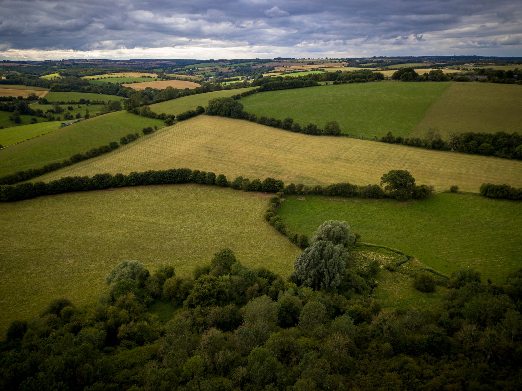 A patchwork of hedged green fields seen from the air