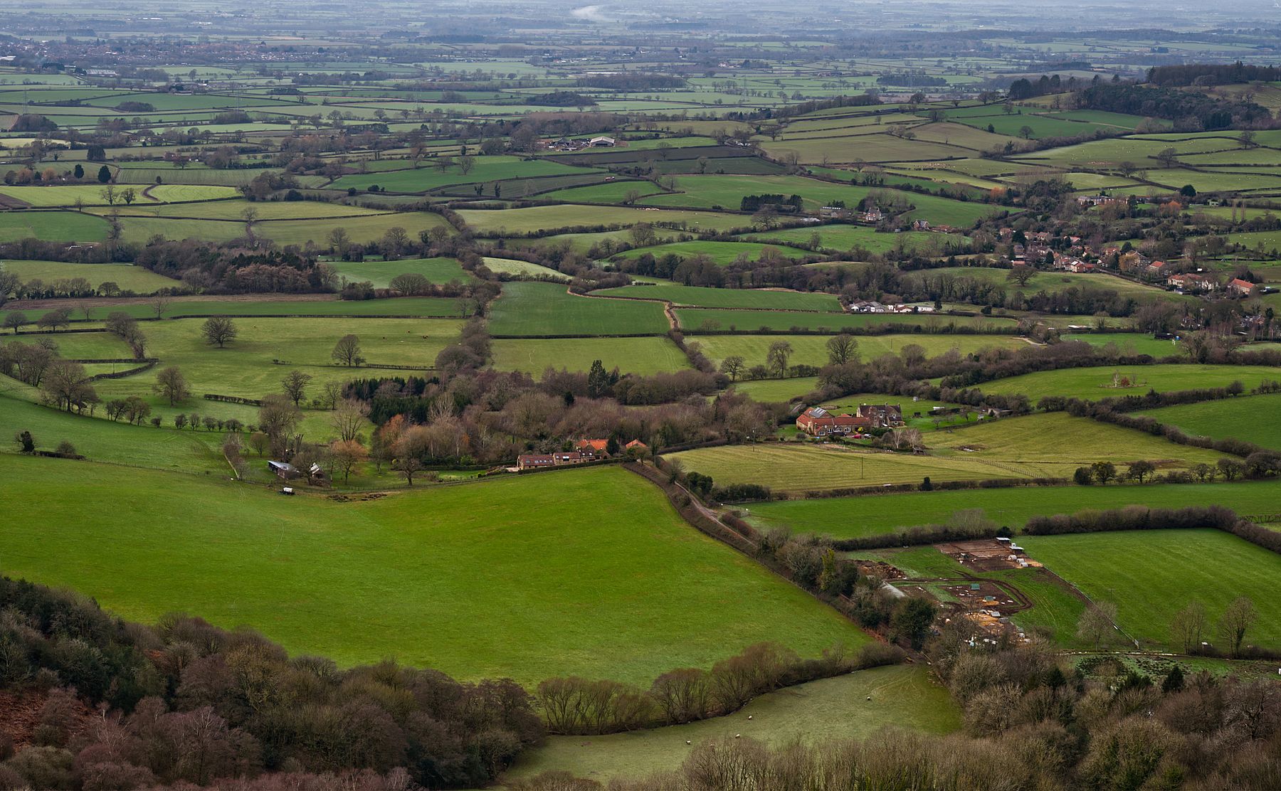 Lush green fields and farmland seen from the air